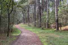BSG-Kennemerduinen-11-okt-2026_011