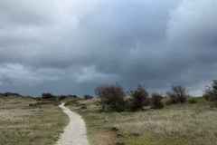 BSG-Kennemerduinen-11-okt-2026_06