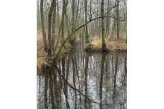 BSG-wandeling-Lage-Mierde_mrt-2026_010