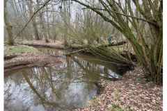 BSG-wandeling-Lage-Mierde_mrt-2026_017