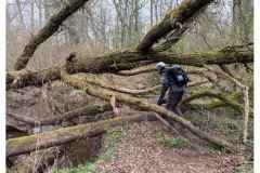 BSG-wandeling-Lage-Mierde_mrt-2026_020