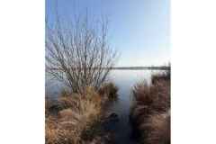 BSG-wandeling-Lage-Mierde_mrt-2026_024