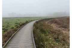 BSG-wandeling-Lage-Mierde_mrt-2026_04