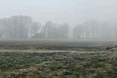 BSG-wandeling-Lage-Mierde_mrt-2026_05