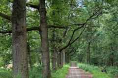 BSG-wandeling-Gilze_Rijen-junii-2026_012
