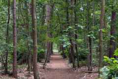 BSG-wandeling-Gilze_Rijen-junii-2026_014