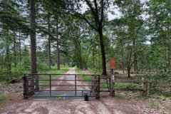 BSG-wandeling-Gilze_Rijen-junii-2026_016