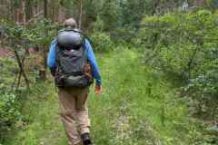 BSG-wandeling-Gilze_Rijen-junii-2026_018