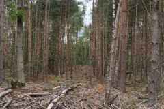 BSG-wandeling-Gilze_Rijen-junii-2026_019