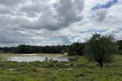 BSG-wandeling-Gilze_Rijen-junii-2026_020