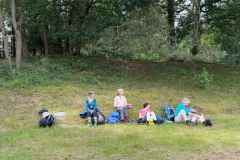 BSG-wandeling-Gilze_Rijen-junii-2026_022