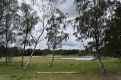 BSG-wandeling-Gilze_Rijen-junii-2026_024