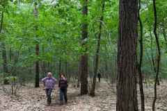 BSG-wandeling-Gilze_Rijen-junii-2026_07