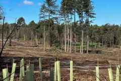 BSG-TT-Maarn-2-april-2023_Niek_020