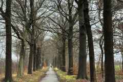 BSG-wandeling-Utrecht_Overvecht-8dec24_024