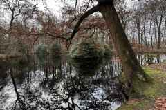 BSG-wandeling-Utrecht_Overvecht-8dec24_025