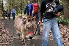 BSG-Driebergen_Zeit-april-2026_013