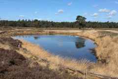 BSG-Driebergen_Zeit-april-2026_02