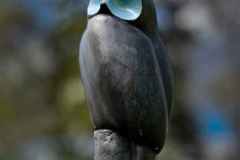 BSG-Driebergen_Zeit-april-2026_023