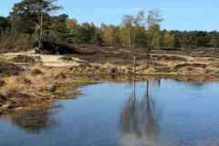 BSG-Driebergen_Zeit-april-2026_03