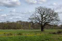 BSG-Driebergen_Zeit-april-2026_030