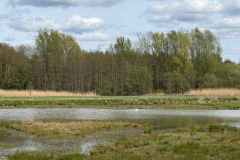 BSG-Driebergen_Zeit-april-2026_032