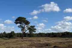 BSG-Driebergen_Zeit-april-2026_04