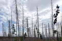 BSGEiffel-Simmarath-27_28-sept-2026_027