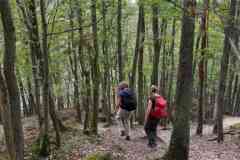 BSGEiffel-Simmarath-27_28-sept-2026_028