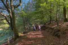BSGEiffel-Simmarath-27_28-sept-2026_047