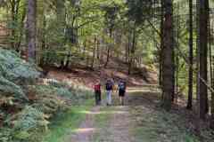 BSGEiffel-Simmarath-27_28-sept-2026_063
