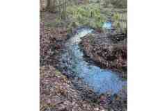 BSG-Nieuwjaarweekend-Bosbeek_jan2026_013