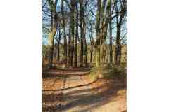 BSG-Nieuwjaarweekend-Bosbeek_jan2026_015