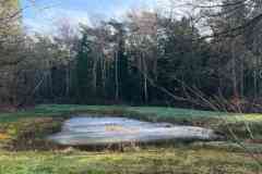 BSG-Nieuwjaarweekend-Bosbeek_jan2026_02