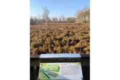 BSG-Nieuwjaarweekend-Bosbeek_jan2026_050