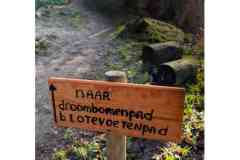 BSG-Nieuwjaarweekend-Bosbeek_jan2026_08