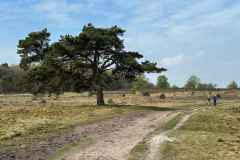 BSG-wandeling-Holl-Rading-13-april-25_90
