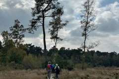 BSG-wandeling-Hilvarenbeek-okt_2025_141