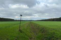 BSG-wandeling-Hilvarenbeek-okt_2025_181