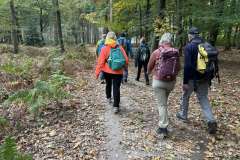 BSG-wandeling-Hilvarenbeek-okt_2025_21
