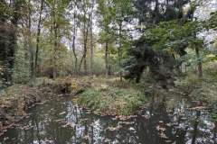 BSG-wandeling-Hilvarenbeek-okt_2025_361