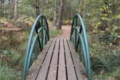 BSG-wandeling-Hilvarenbeek-okt_2025_371