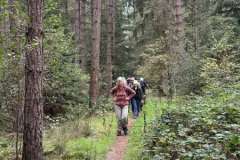 BSG-wandeling-Hilvarenbeek-okt_2025_61