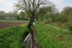 BSG wandeling Zundert apr18-05