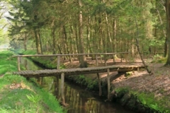 BSG wandeling Zundert apr18-06