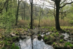 BSG wandeling Zundert apr18-07