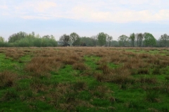 BSG wandeling Zundert apr18-08