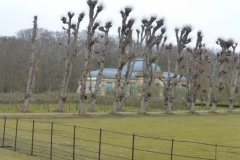 BSG wandeling Overveen-24