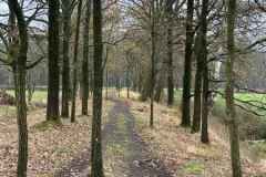 BSG-wandeling-Den-Dolder_Niek_dec-2025_13