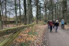 BSG-wandeling-Den-Dolder_Niek_dec-2025_18